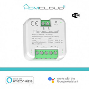 Modulo Pulsante Relè Wi-Fi 12/24V 2CH