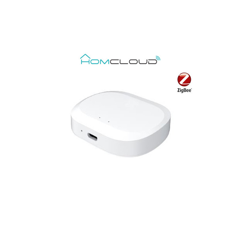 Centralina intelligente Hub - Zigbee+Bluetooth